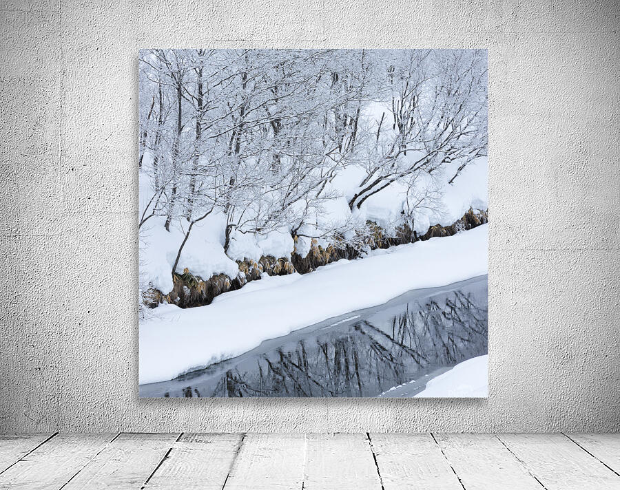 Riverbank Wall Preview