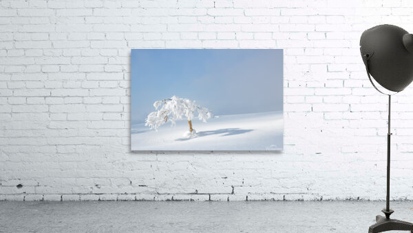 Spotlight Wall Preview
