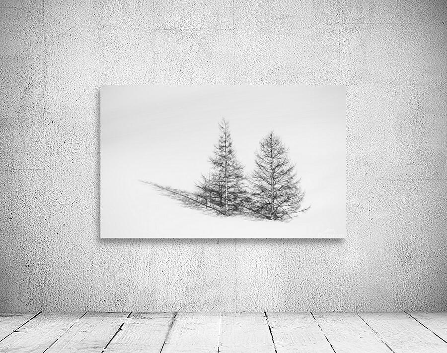 Due Alberi Wall Preview