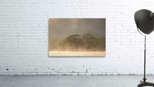 Reverence Wall Preview