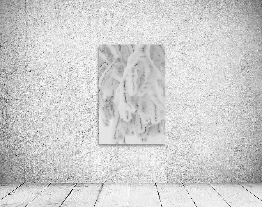 Frozen Birch Wall Preview