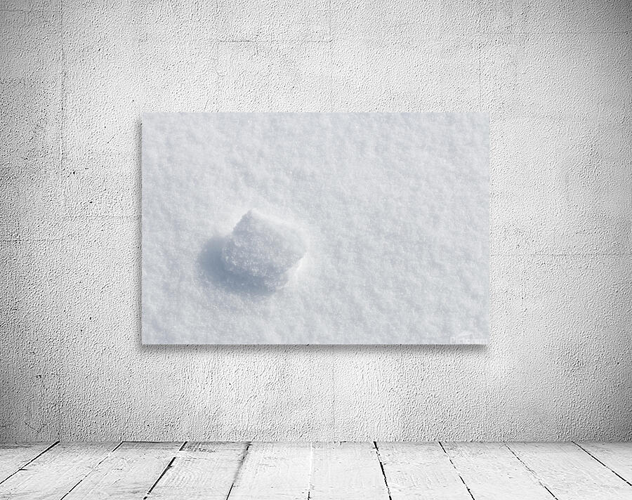 Winter . Wall Preview