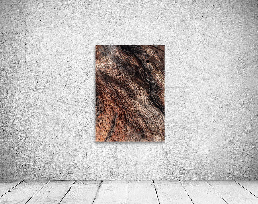 Old Age Wall Preview