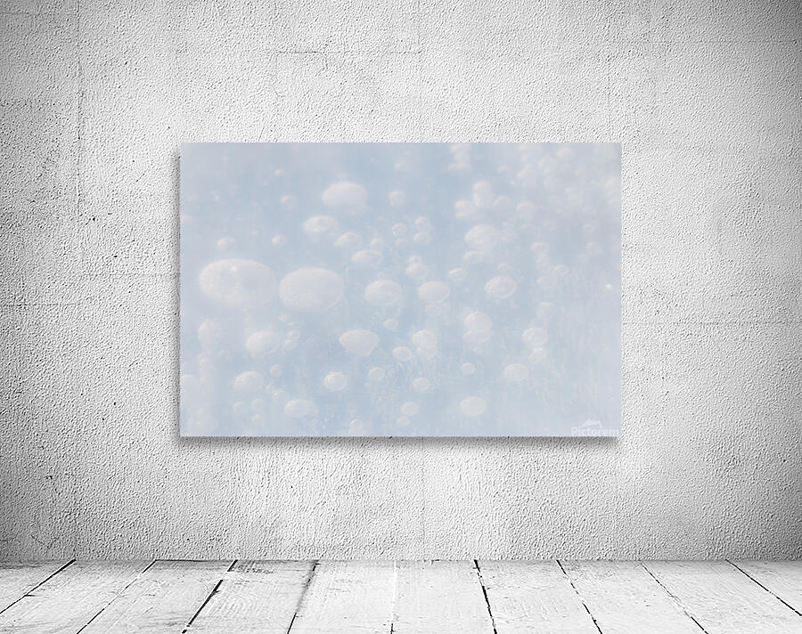 Ice Bubbles Wall Preview