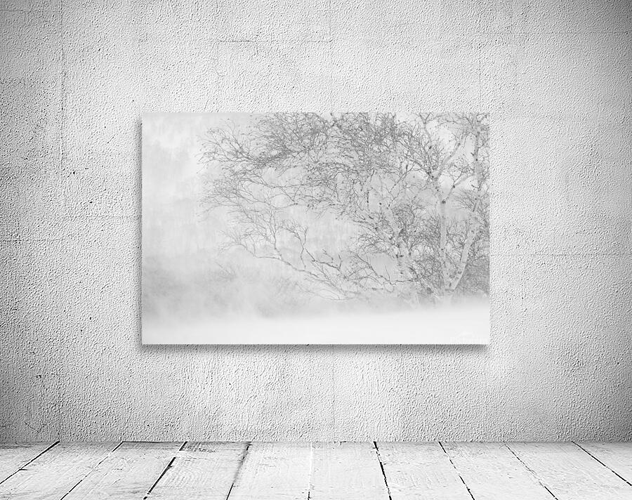 Birch in a Blizzard Wall Preview