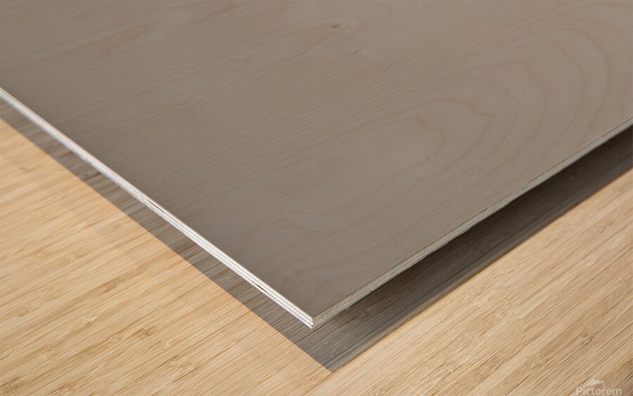 Lonesome Trail Wood print