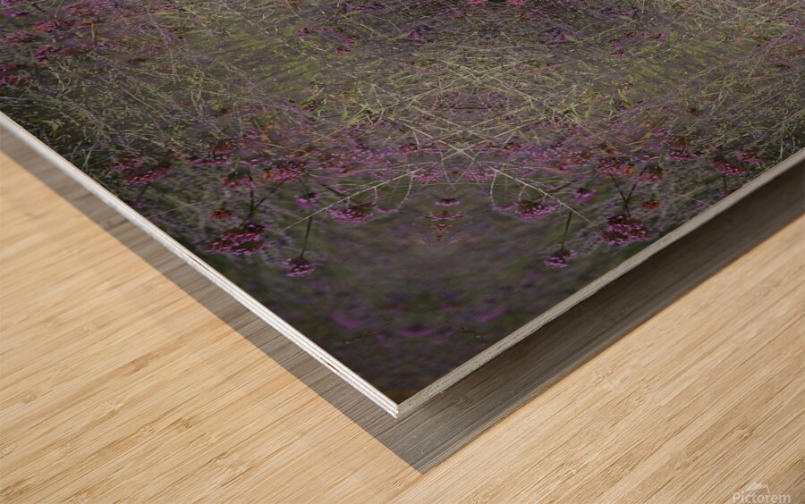 Colors of Provence Wood print