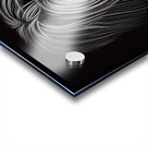 Beardie Acrylic print