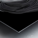 Bearded Collie Portrait Metal print