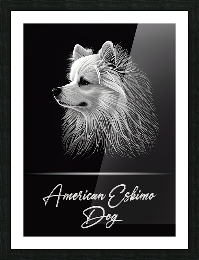 American Eskimo Dog Picture Frame print
