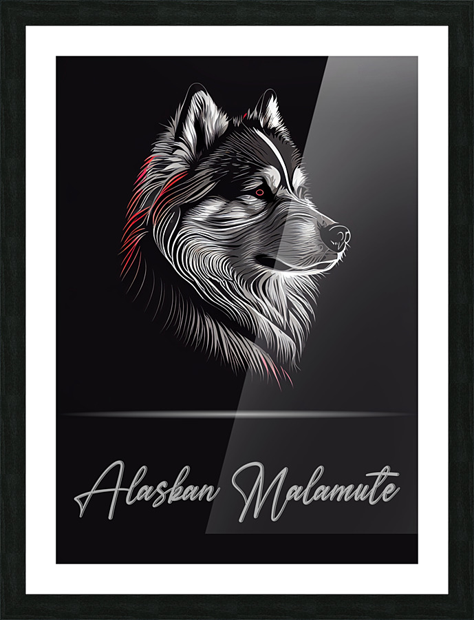 Alaskan Malamute Picture Frame print