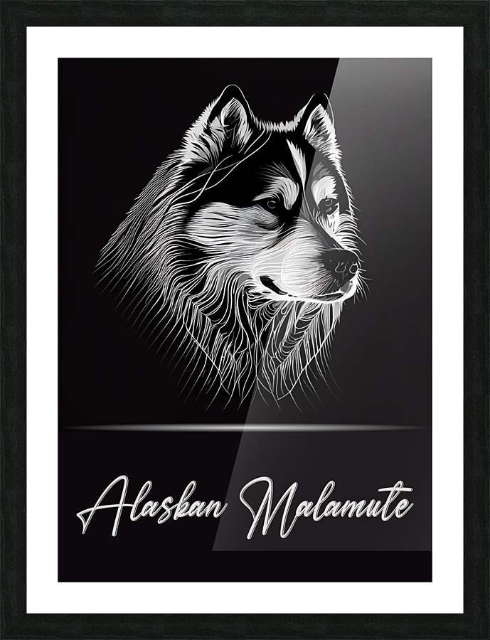 Alaskan Malamute Picture Frame print
