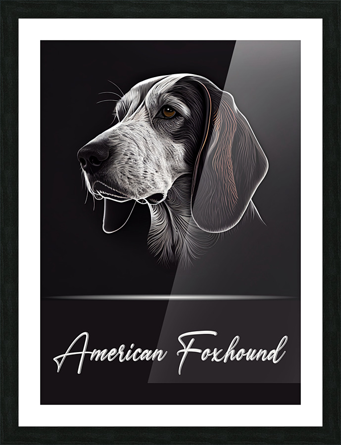 American Foxhound Picture Frame print