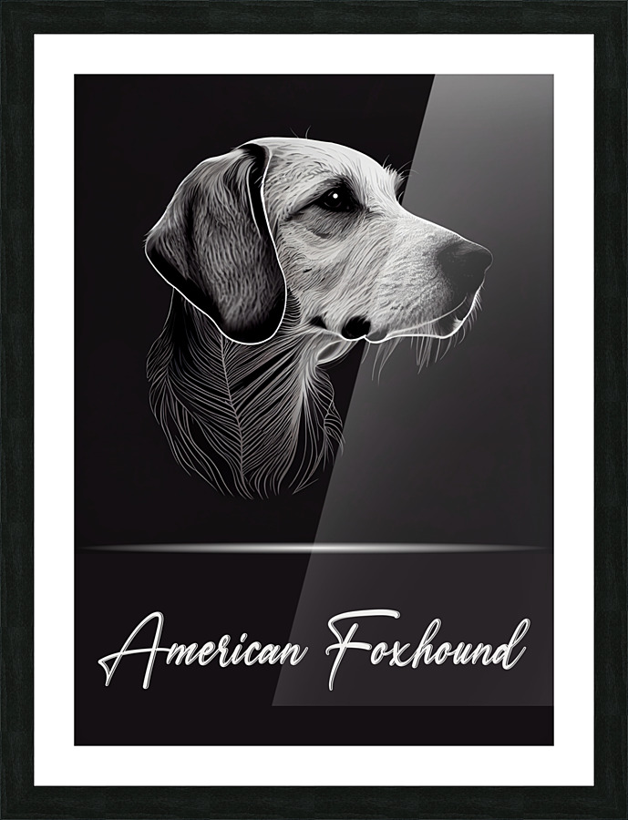 American Foxhound Picture Frame print