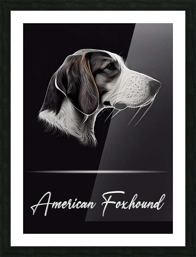 American Foxhound Picture Frame print