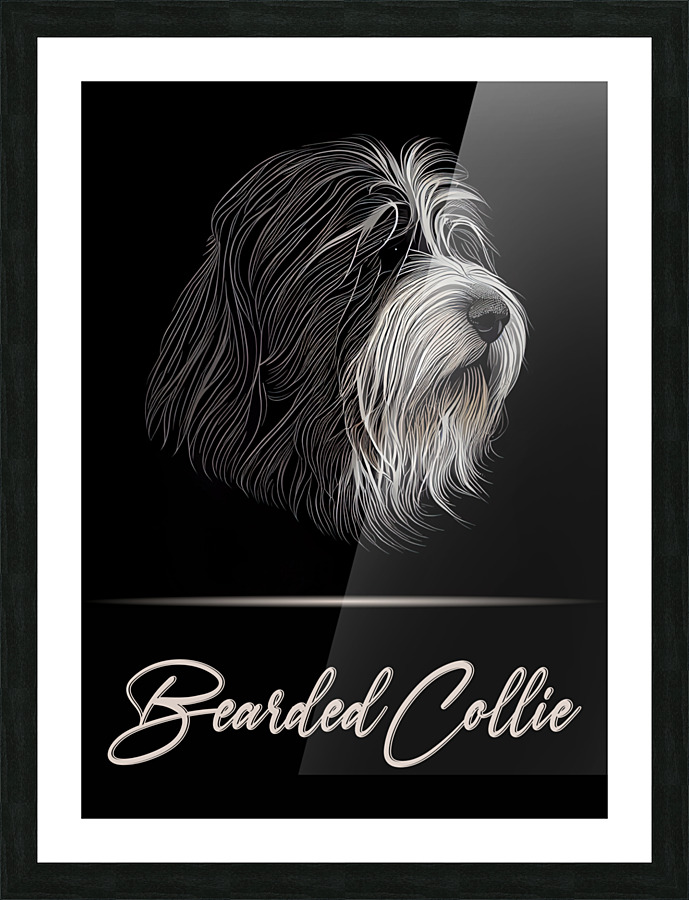 Bearded Collie Picture Frame print