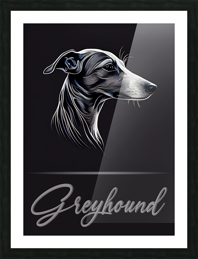 Greyhound Portrait Picture Frame print