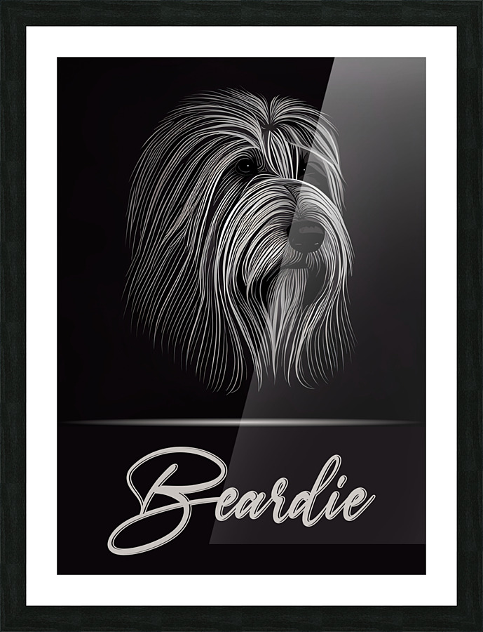 Beardie Picture Frame print