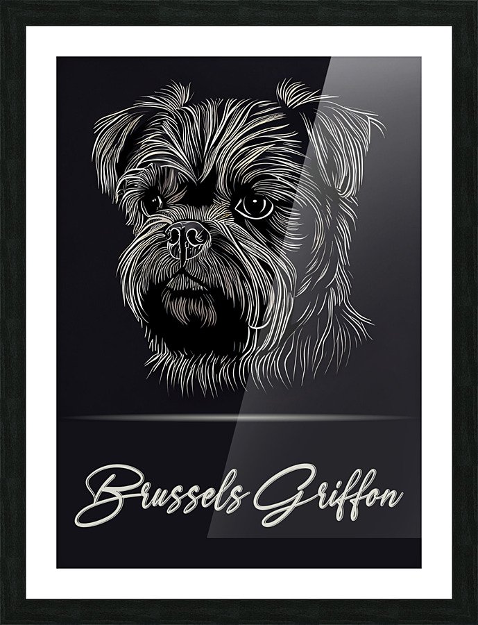 Brussels Griffon Portrait Picture Frame print