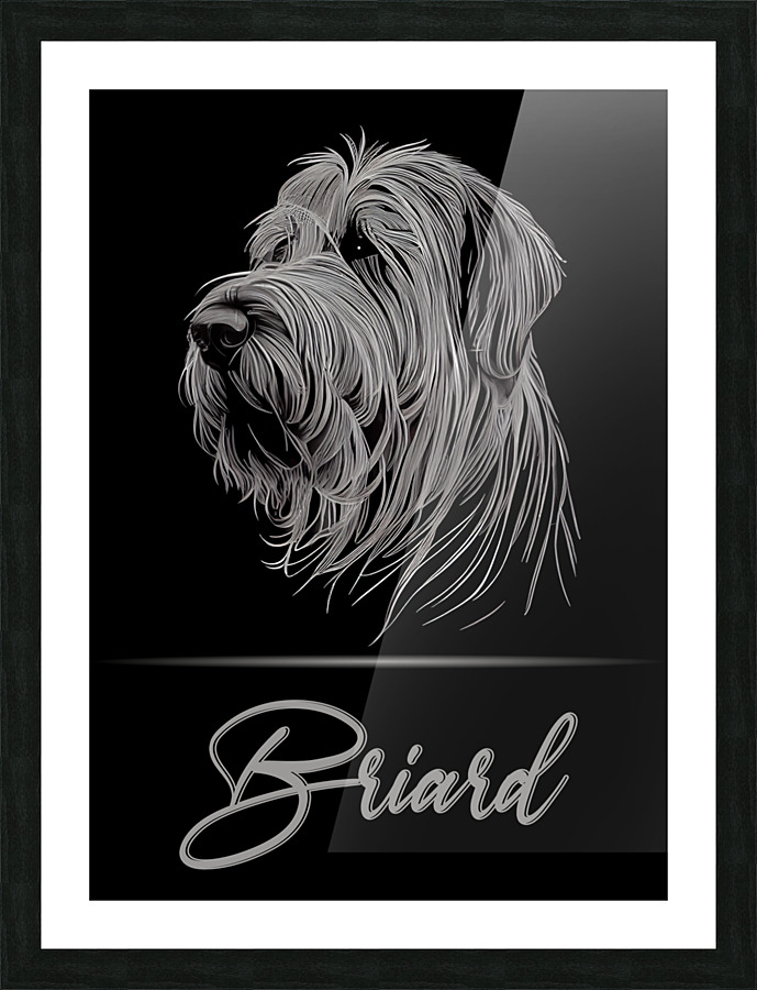 Elegant Briard Picture Frame print