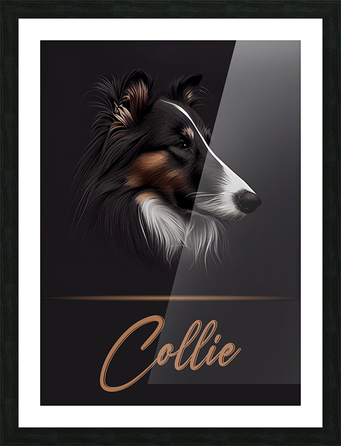 Elegant Collie Picture Frame print