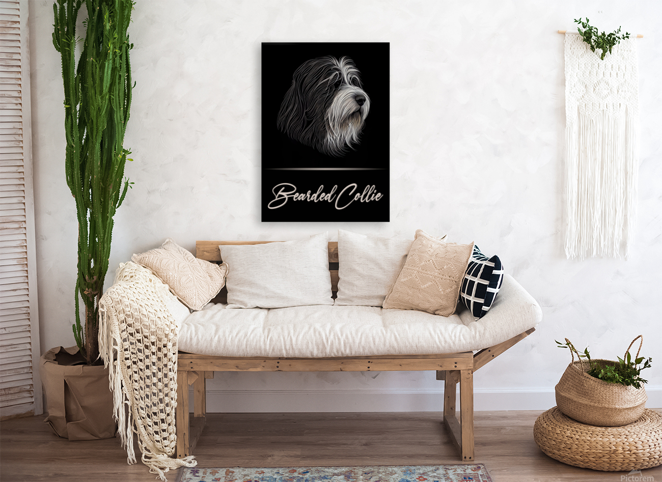 Bearded Collie Reproduction