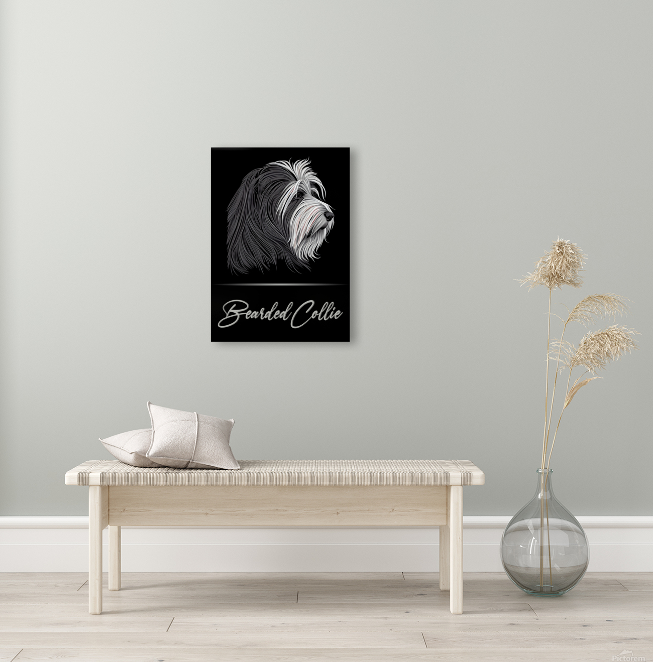 Bearded Collie Portrait Reproduction