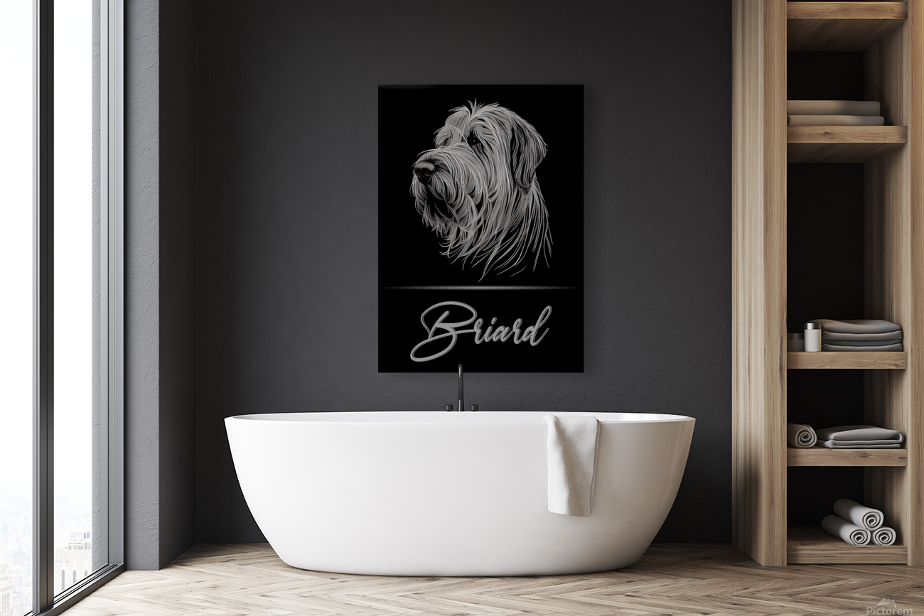 Elegant Briard Reproduction