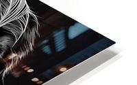 Bernese Mountain Dog HD Metal print