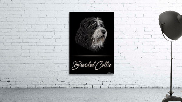 Bearded Collie Wall Preview