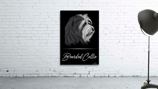 Bearded Collie Portrait Wall Preview