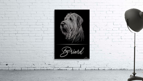 Elegant Briard Wall Preview