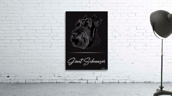 Giant Schnauzer Portrait Wall Preview
