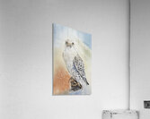 Spirit Acrylic Print