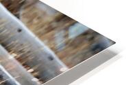 Walking the Line HD Metal print