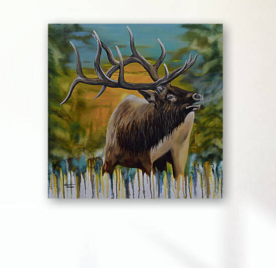 Bugling Elk by Terry Hester