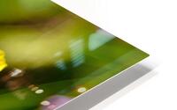 Good Morning  HD Metal print
