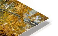 Autumn HD Metal print