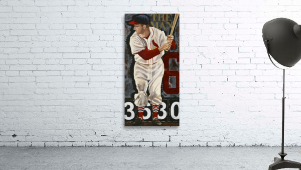 Stan Musial Wall Preview