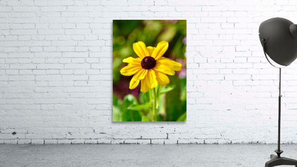 Good Morning  Wall Preview