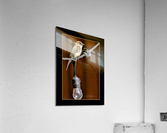 Bird on a Wire Acrylic Print