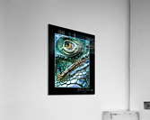 Iguana  Acrylic Print