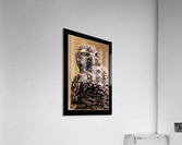 Desert Owl Acrylic Print