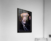 Jellyfish  Acrylic Print