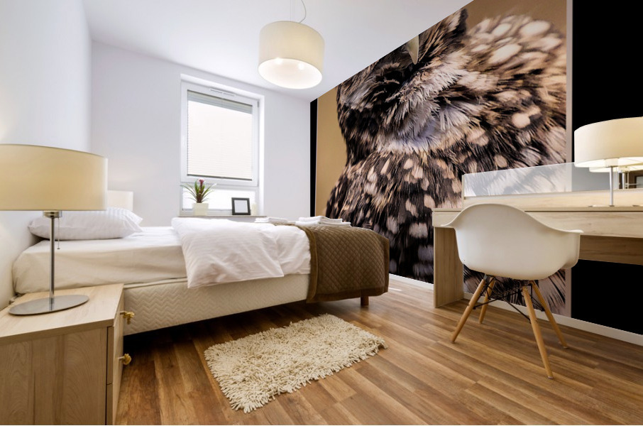 Desert Owl Mural print