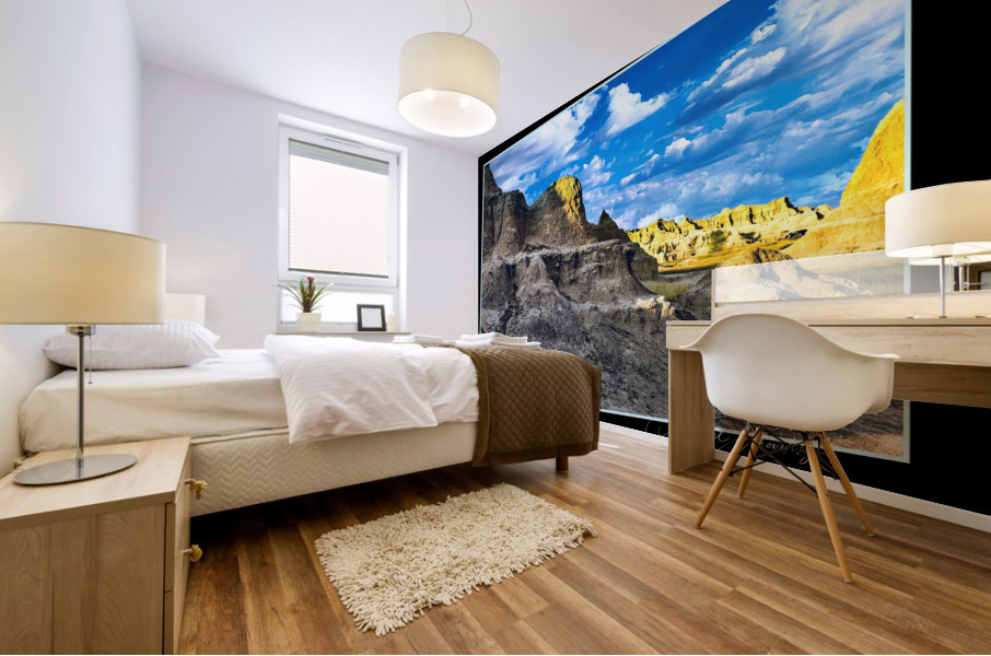 Badlands  Mural print