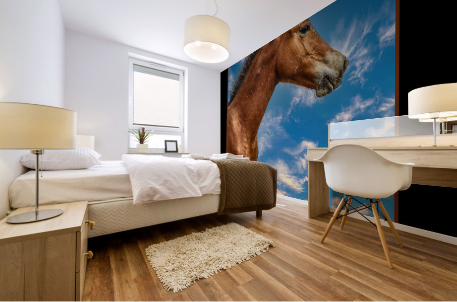Wild Horse  Mural print