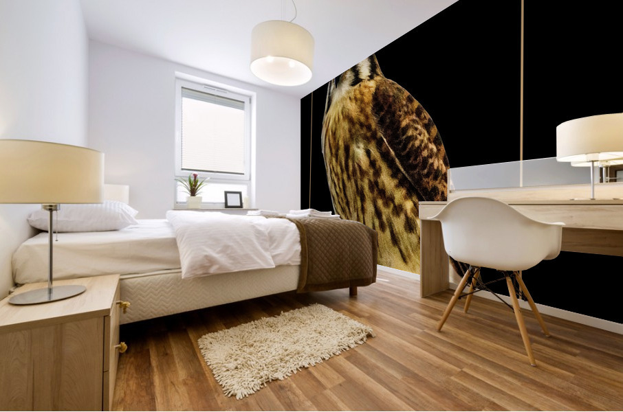 American Kestrel  Mural print