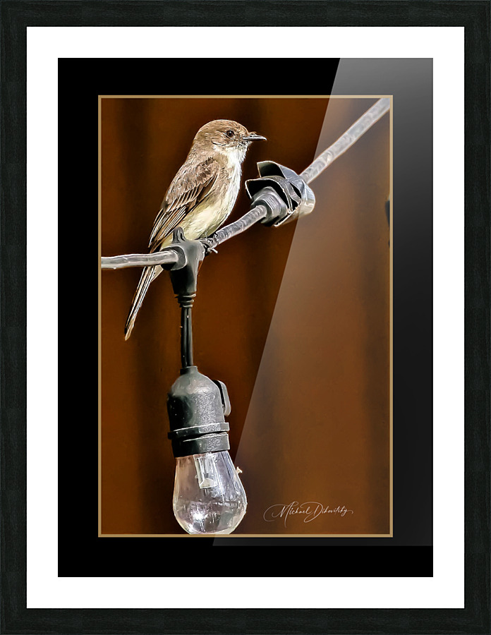 Bird on a Wire Picture Frame print