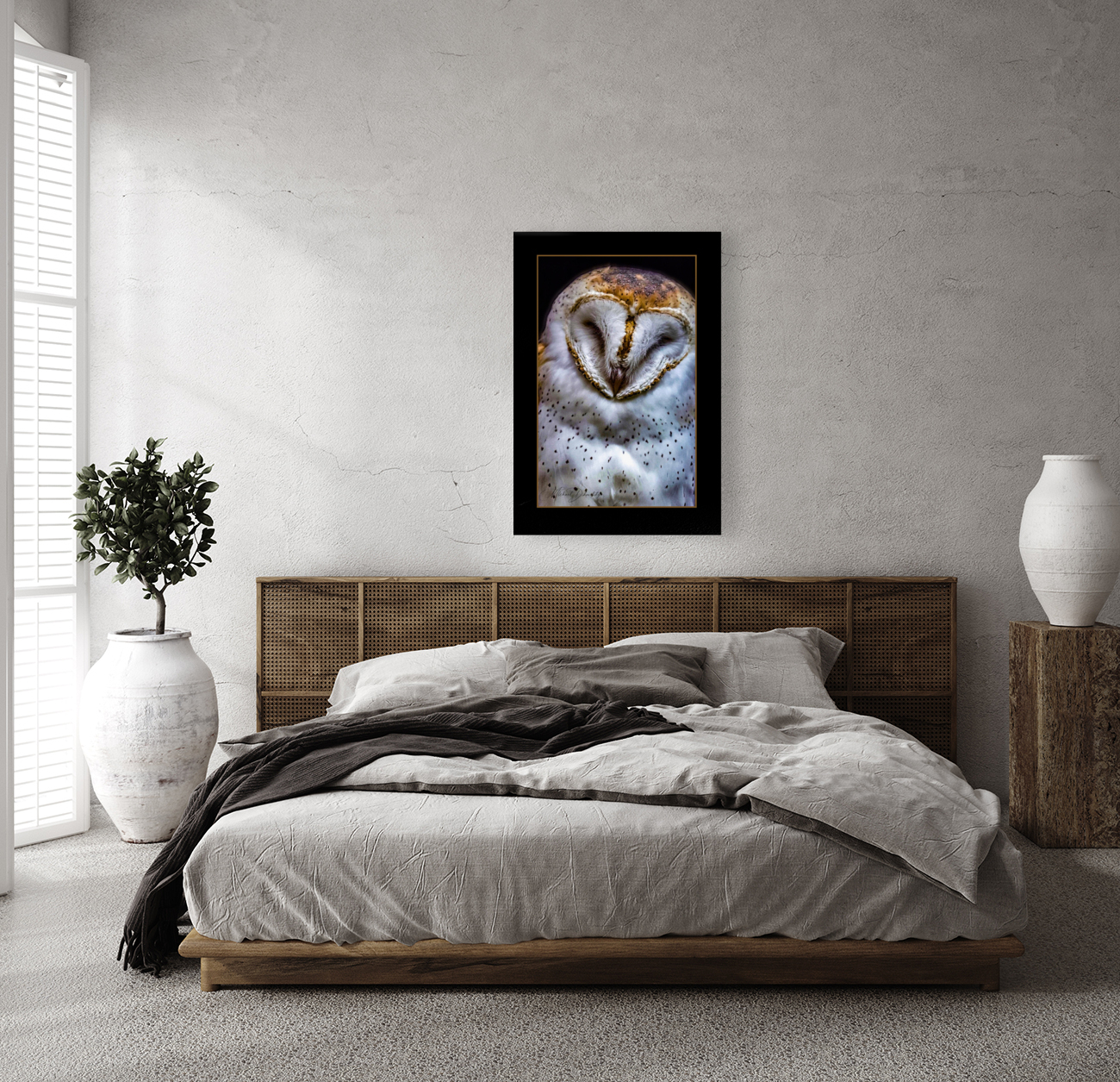Barn Owl Reproduction